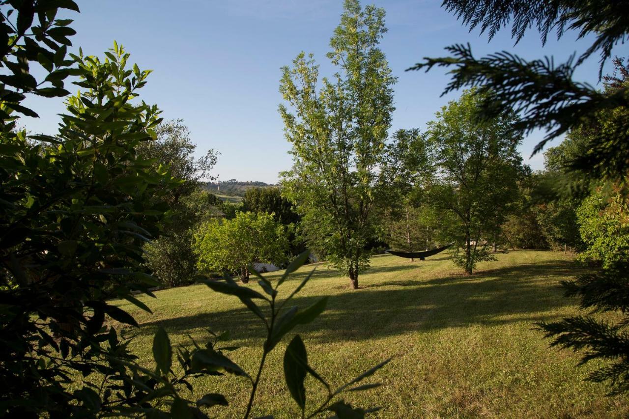 Grande Villa Storica Per Vacanze Con Giardino Privato E Piscina Ostra Екстериор снимка
