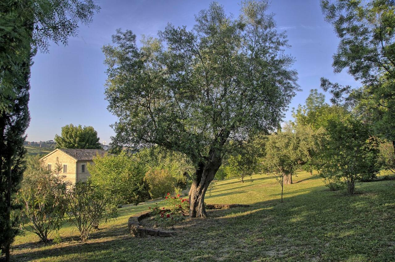 Grande Villa Storica Per Vacanze Con Giardino Privato E Piscina Ostra Екстериор снимка